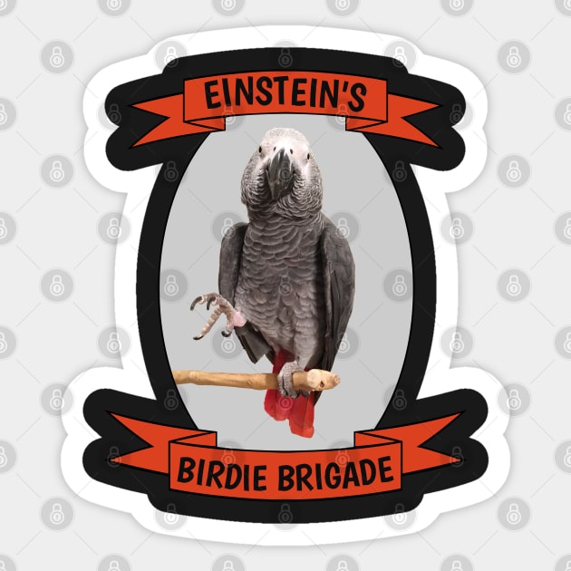 Birdie Brigade African Grey Parrot Sticker by Einstein Parrot